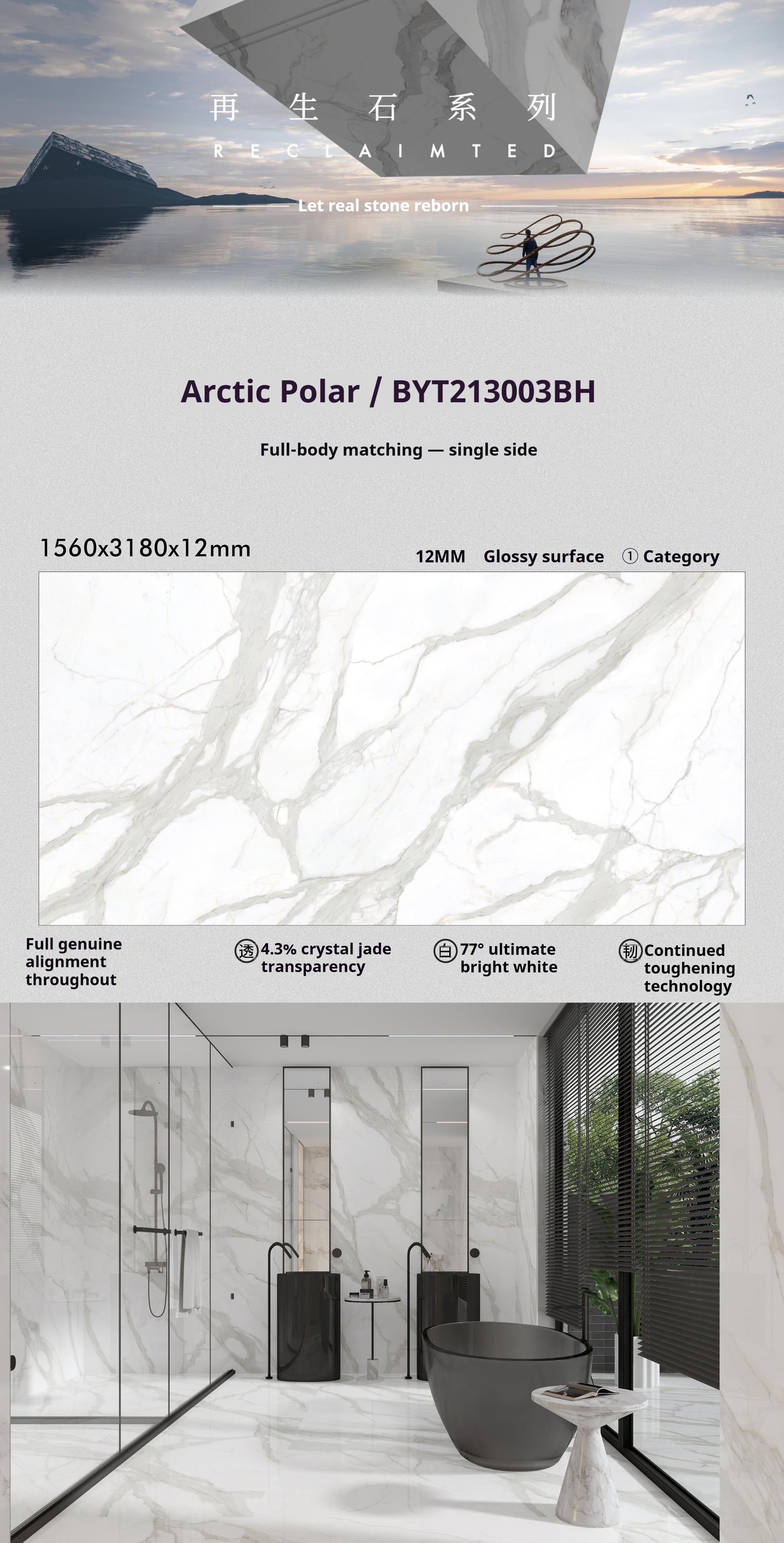 Arctic Polar