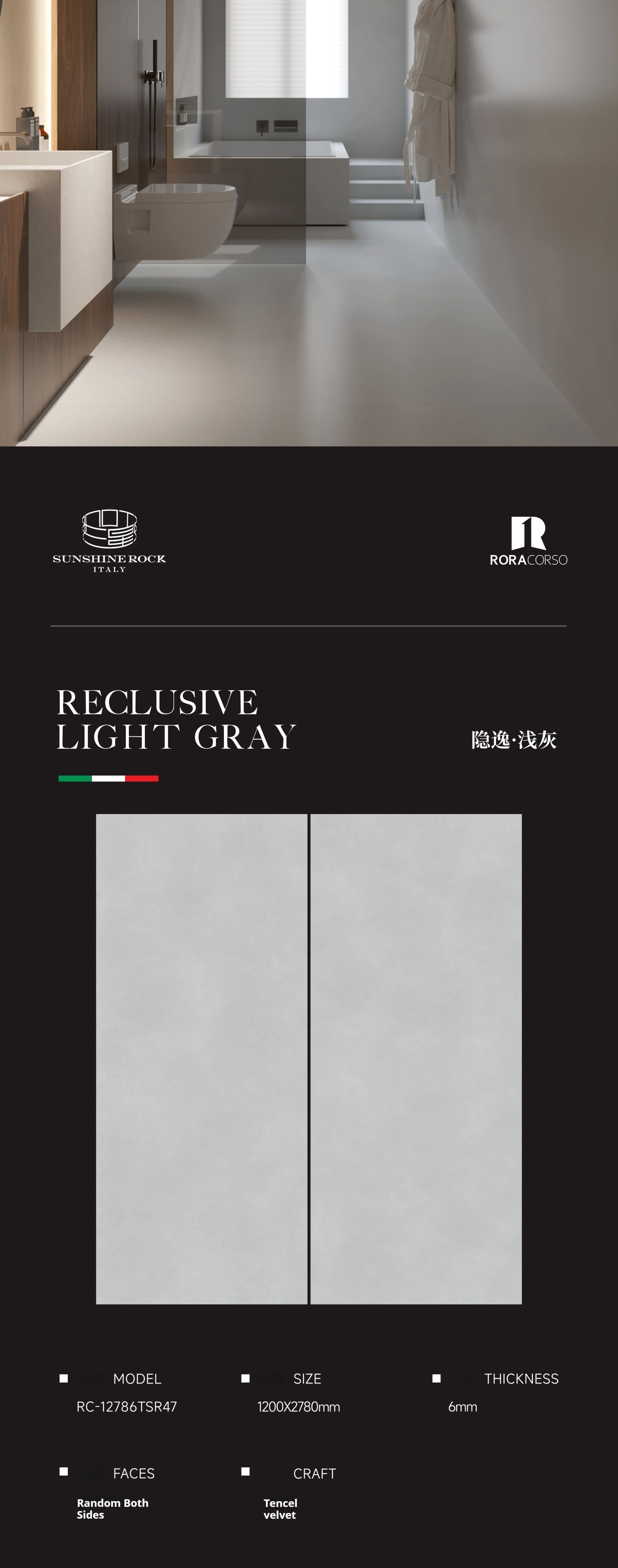 RECLUSIVE LIGHT GRAY